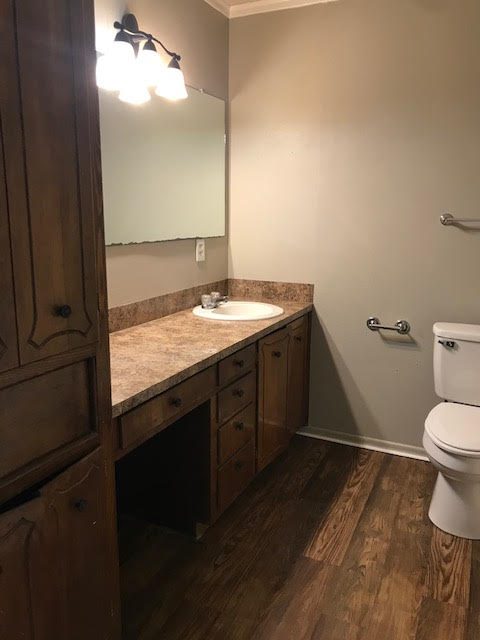 Apartment bathroom with toilet and vanity
